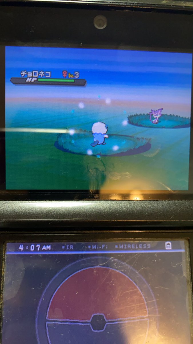 ゆせ على تويتر ポケモンブラック2で ミジュマルを色違い厳選してたら やっときた ポケモン 色違い 色違い厳選 ミジュマル