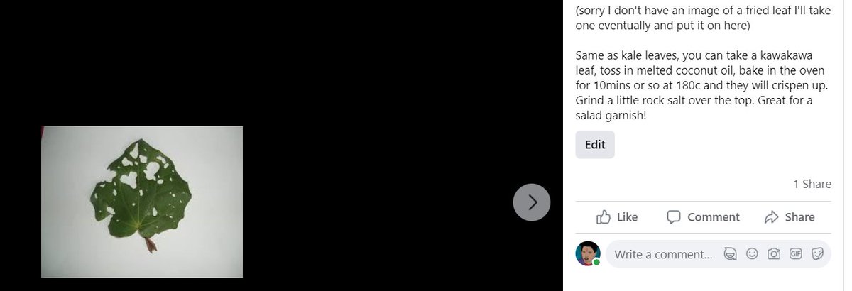 7. Acknowledge Tane and Hinewaoriki when you harvest from them. You don't have to know/recite ancient karakia, just acknowledge their gift to yourself when you harvest.[image: recipe for fried kawakawa leaf crisps and image of a kawakawa leaf]