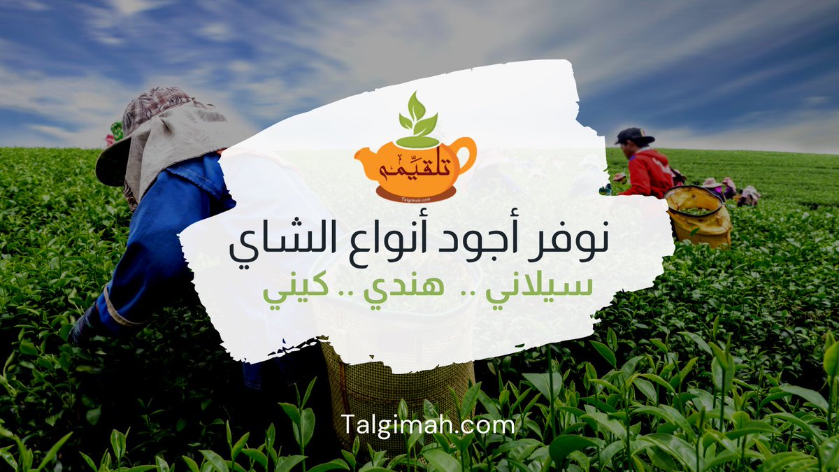 talgimah's tweet photo. @HashKSA ☕️🫖🥸 https://t.co/uyV2f62878
