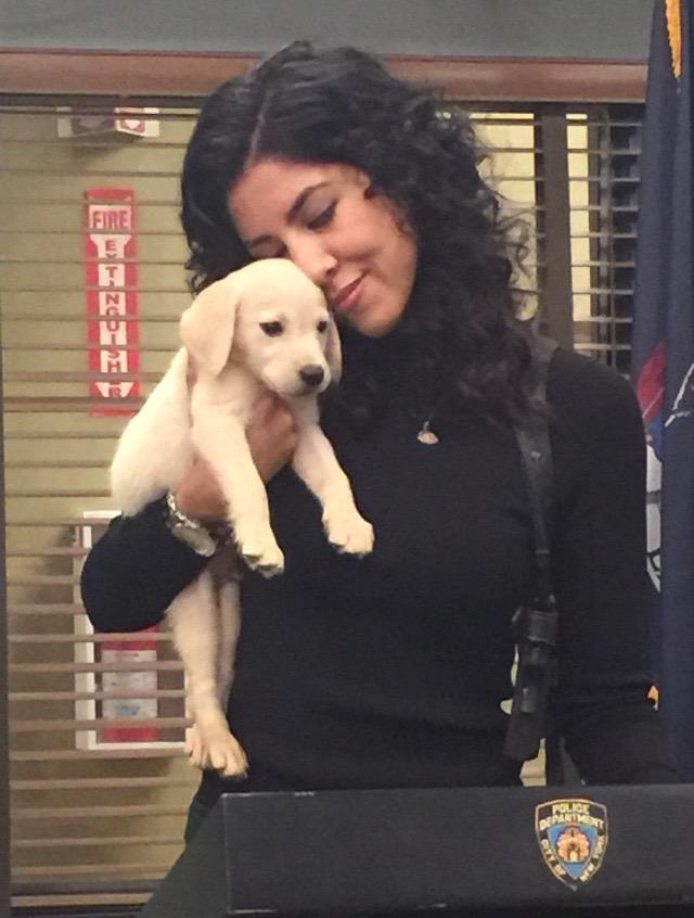 ㅜㅜ 이거 로사 촬영장 짤 첨봣어 으악 너무 귀여워