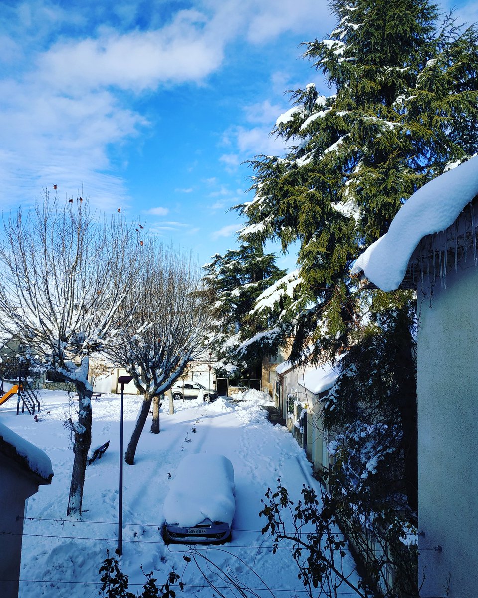 OoroVac's tweet photo. Desde mi ventana https://t.co/W9esYbbujU