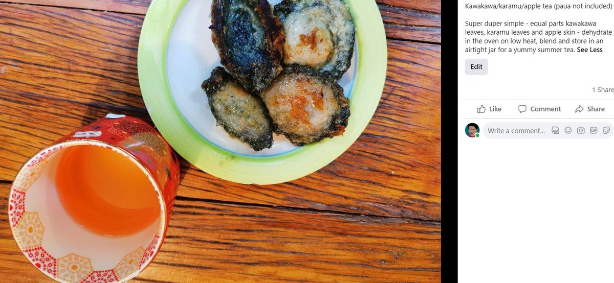 9. Kawakawa seeds are very peppery, but the flesh is sweet. I find they go best with white meat but also used the glaze in making smoked venison jerky when going bush for a few days. [image: recipe of kawakawa/karamu/apple tea and image of tea next to a plate of paua]