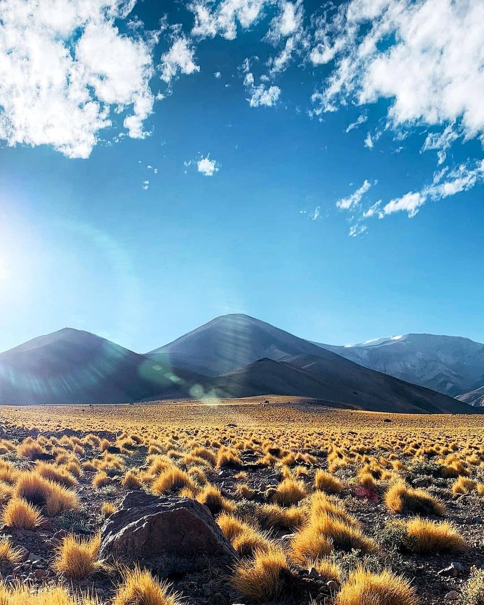 RESPIRAARGENTINA tweet media