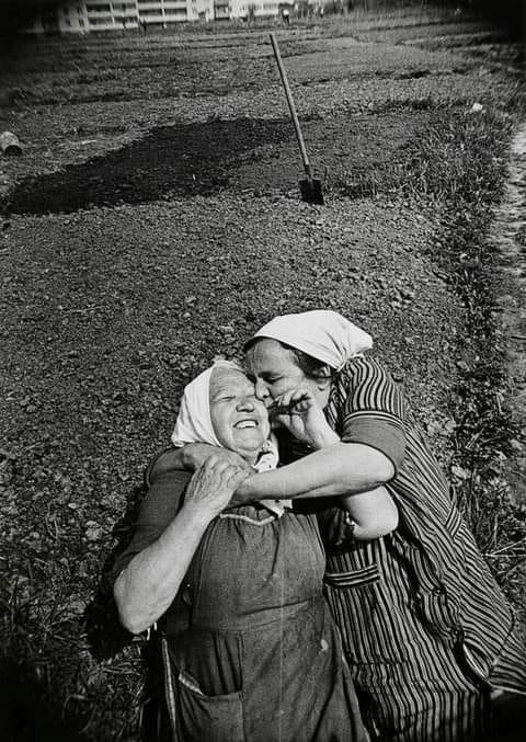 literlandweb1's tweet photo. "Siempre sentí que el gran privilegio, el alivio y la comodidad de la amistad era que uno no tenía que explicar nada".
Katherine Mansfield https://t.co/TxMy0rvb0Y