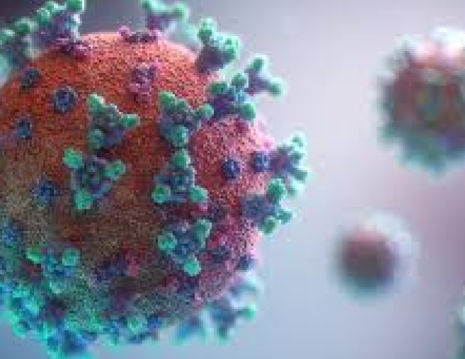 EpygenBiotech's tweet photo. As per CDC Interim Clinical Considerations for Vaccine use, "vaccination of persons with known current SARS-CoV-2 infection should be deferred until the person has recovered". RT-PCR with nearly 100% accuracy, should be used to test candidates prior to vaccination for safety. https://t.co/PJboJFFiAL