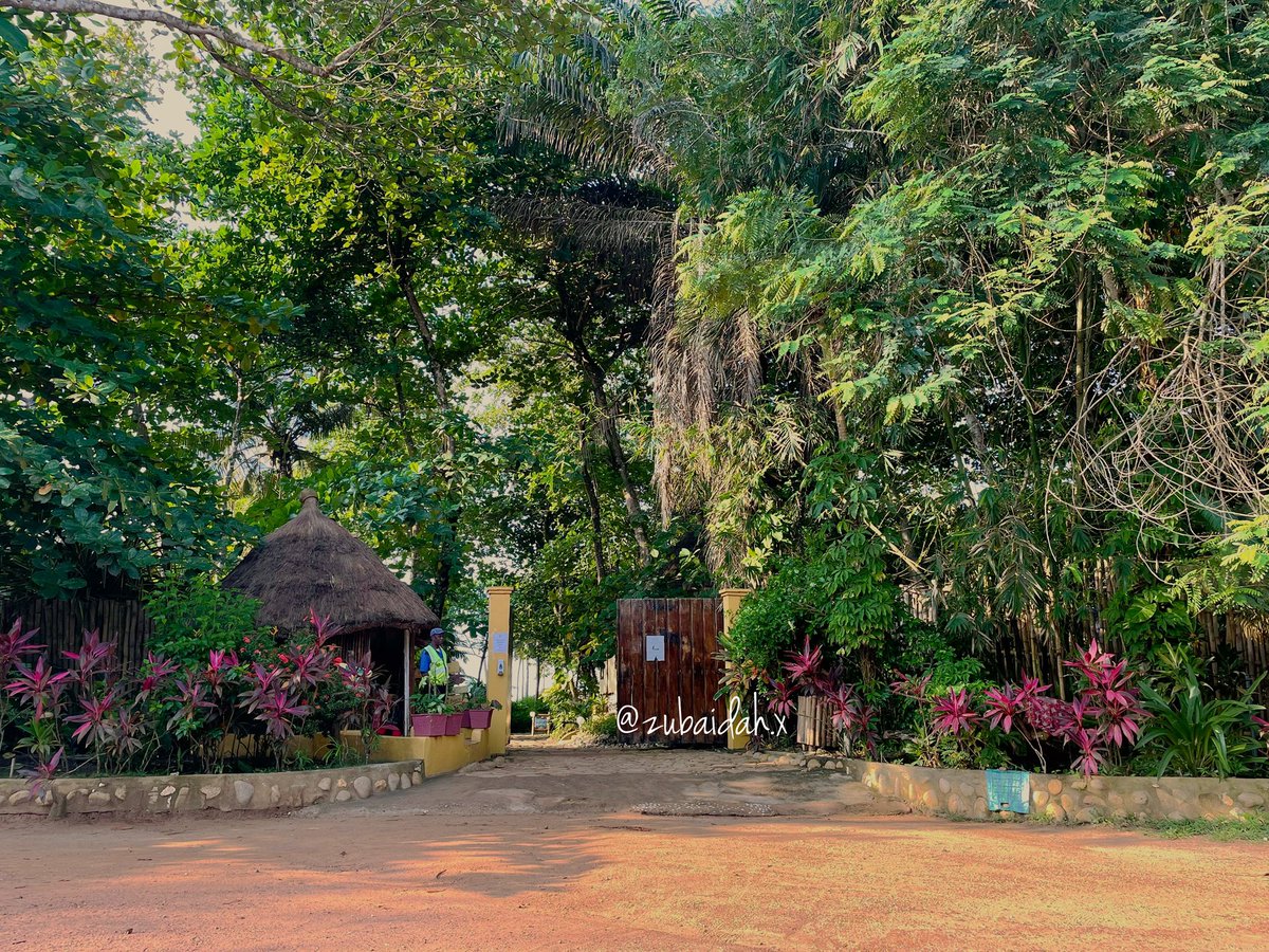 Ankobrah Beach Resort is a beach resort in Axim, about 2 hours away from the Takoradi airport.(Sidenote: They arrange pick ups from the Takoradi Airport for ¢300 one way, ¢600 in and out, and Accra for ¢1300 one way, ¢2600 both).