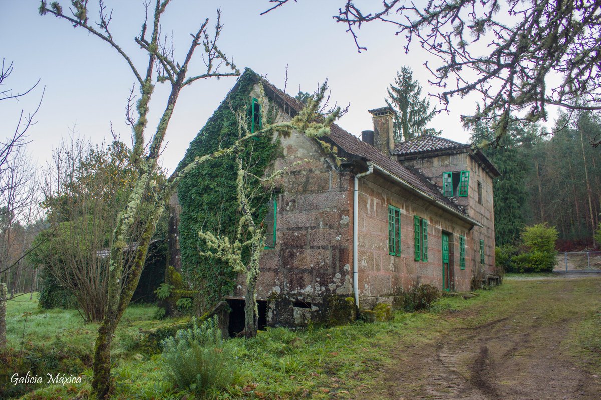 GaliciaMaxica's tweet photo. Seguro que has estado en un antiguo vivero forestal y no lo sabías. El propio Parque Natural do Monte Aloia surgió de uno de ellos. Este, en  #Ponteareas 👉 https://t.co/sicBe7yfRj
@SESEIXA https://t.co/gS3LsZTNEJ