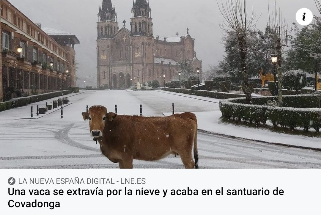 Milcury's tweet photo. Filomena en Madrid: alaaaa cuanta nieve vamos a salir todos nosequé

Filomena en Asturias: https://t.co/6GqSxaLymH