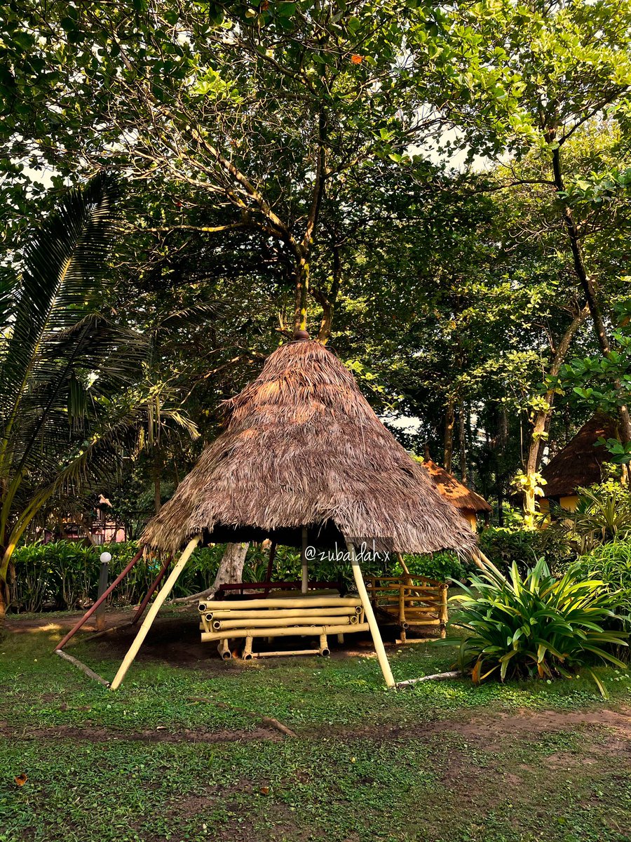 Its extremely peaceful and calm here - super quiet- and like most resorts in this side of town, built around a completely natural theme. When you’re not on the beachside you’re almost completely surrounded by trees and plants. I should add, it gets really dark at night.