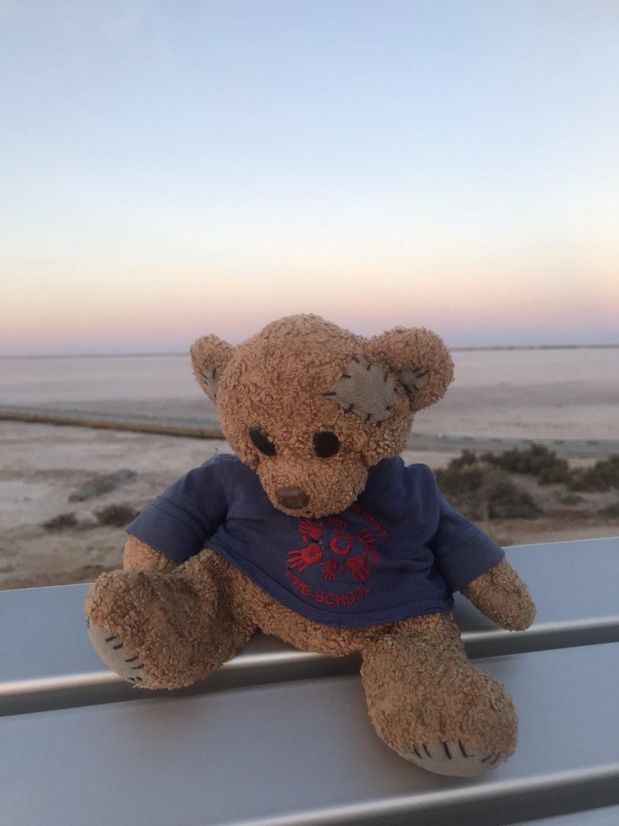 RennisonKate's tweet photo. @communitypresch After lots of fun visiting the Great Ocean Road, Ted has been to The Grampians National Park, followed the Silo Art Trail and watched the sunset at Lake Tyrell #travellingteddownunder https://t.co/SlGRmdkvMX