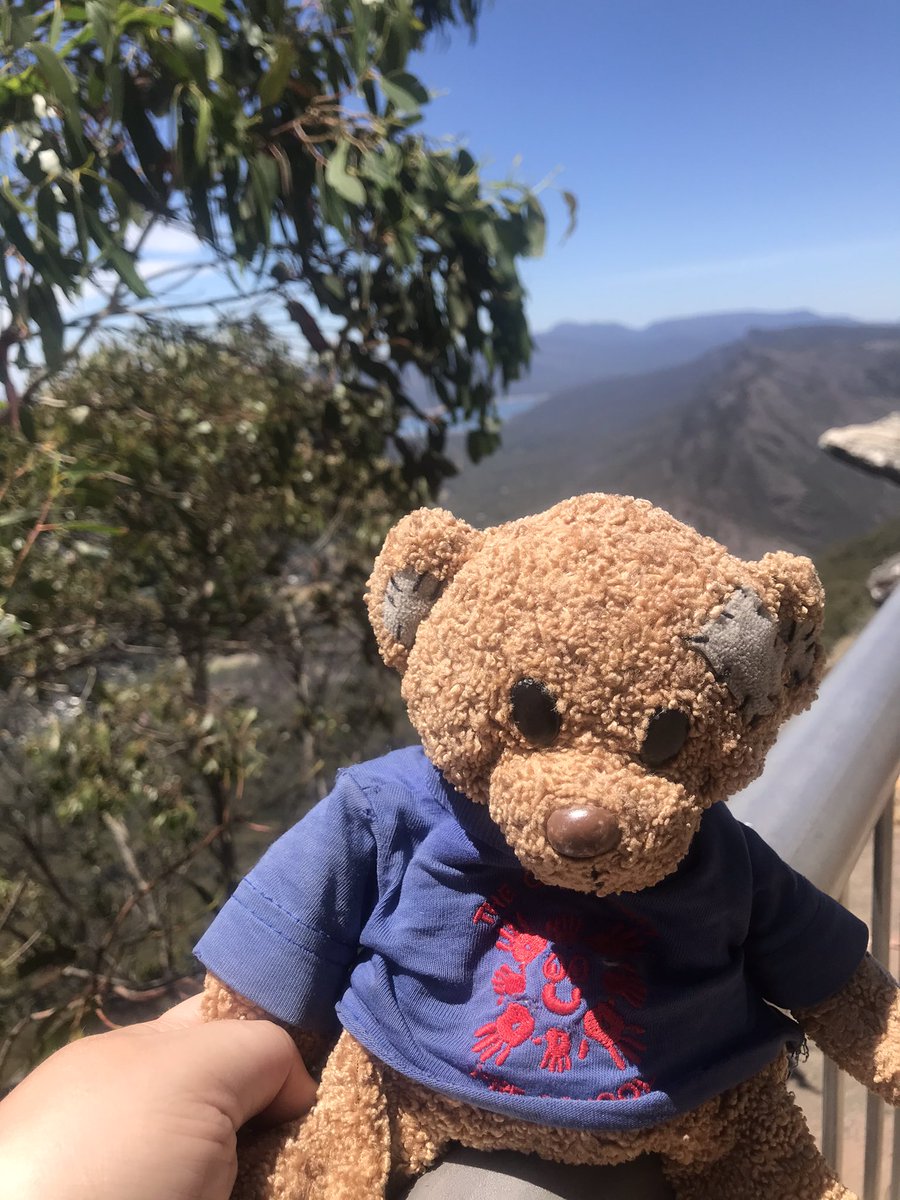 RennisonKate's tweet photo. @communitypresch After lots of fun visiting the Great Ocean Road, Ted has been to The Grampians National Park, followed the Silo Art Trail and watched the sunset at Lake Tyrell #travellingteddownunder https://t.co/SlGRmdkvMX