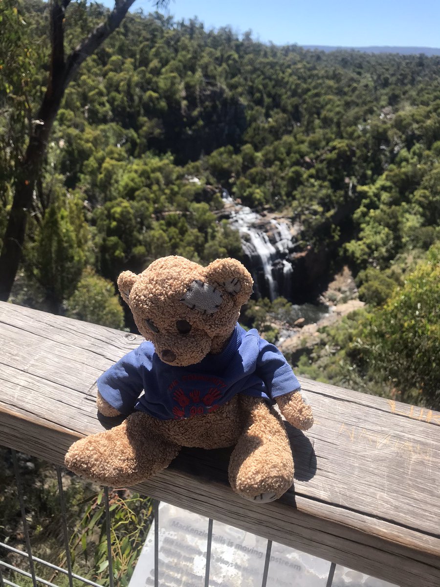 RennisonKate's tweet photo. @communitypresch After lots of fun visiting the Great Ocean Road, Ted has been to The Grampians National Park, followed the Silo Art Trail and watched the sunset at Lake Tyrell #travellingteddownunder https://t.co/SlGRmdkvMX