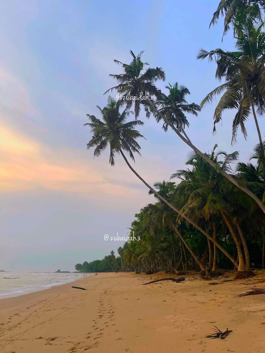 The beach (I personally didn’t see any, but apparently there are the occasional oil deposits on the beach. That, unfortunately is beyond the administration's control)