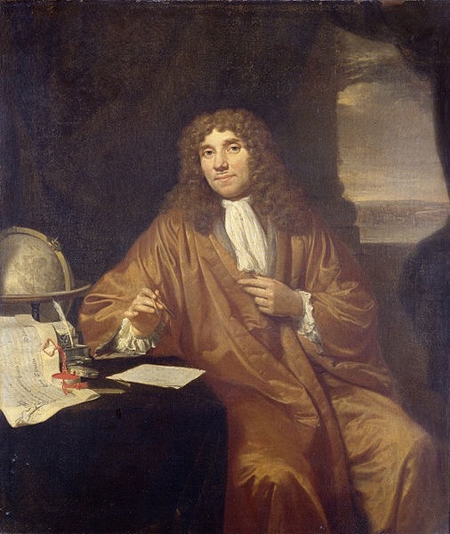 Most intricate wig - Leeuwenhoek