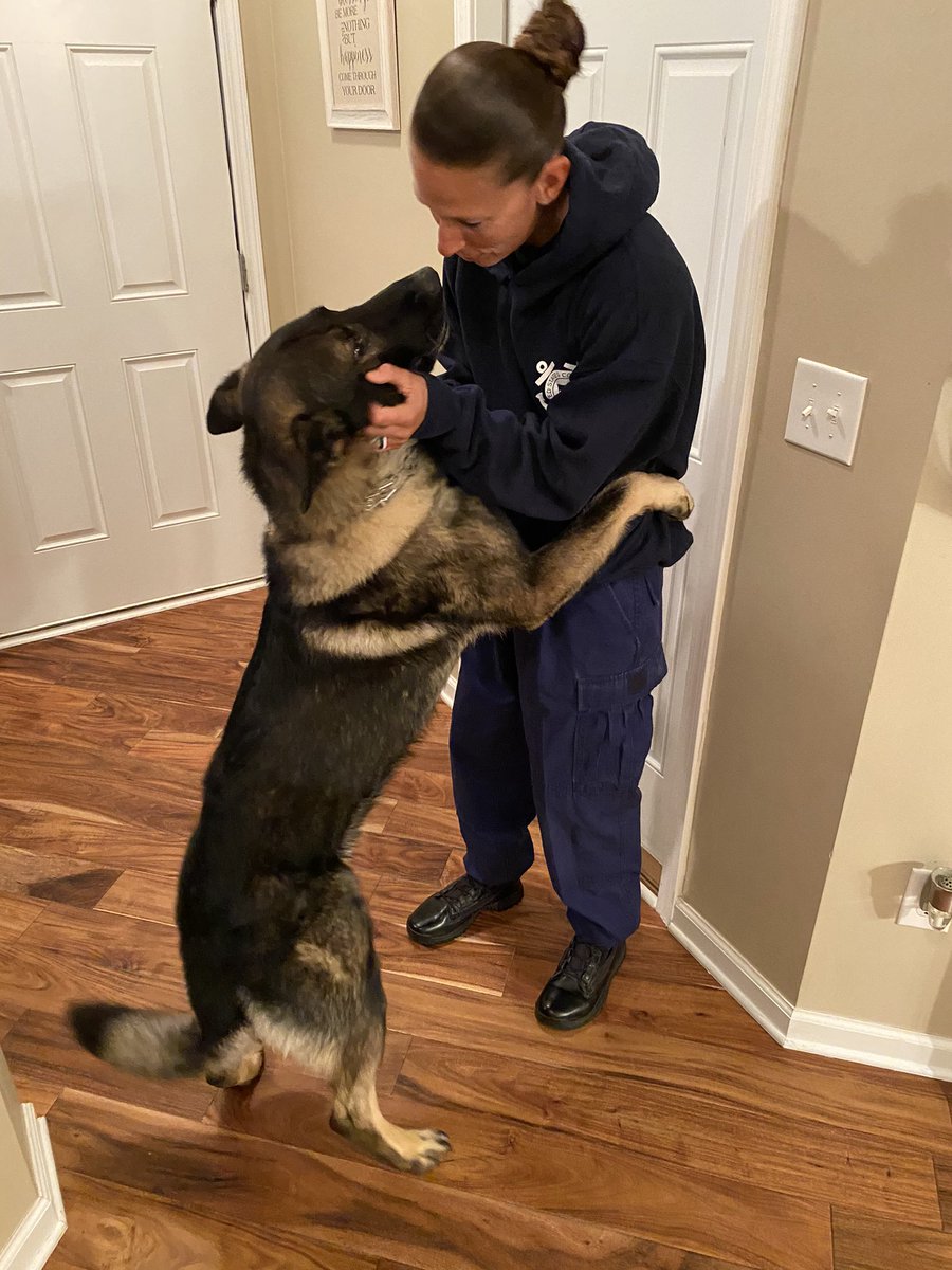 I won’t lie, I remind him to behave when I leave him for the day. 🤦🏻‍♀️🤣#gsd #k9 #workingdog #partner #bettertogether #behaveyourself #drillweekend #coastguard #k9apart