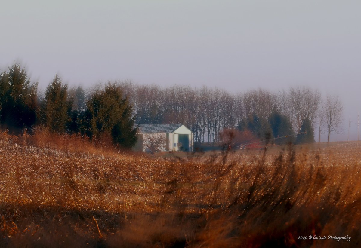 UncleBuck57's tweet photo. From Afton Middleshire on Dec 8th, 2020.  A little soft photography.  "In the Light(+)(blur)" https://t.co/D820B1PTKN