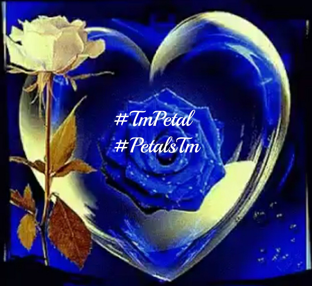 Beast_85's tweet image. Kami bersumpah demi Allah SWT. Siapa yang akan Mengikuti 2 akun kami, Kami akan memberikan Ikuti Kembali dalam 10 menit
@5q_zk 
@Lk6Ha 
Aktif 13 jam 
Retweet tweet ini, silakan &amp;amp; Ikuti 2 Akun. Akan memberi mereka FollowBack dalam sepuluh menit. Mohon Balas
#1Drive #GudangFollback