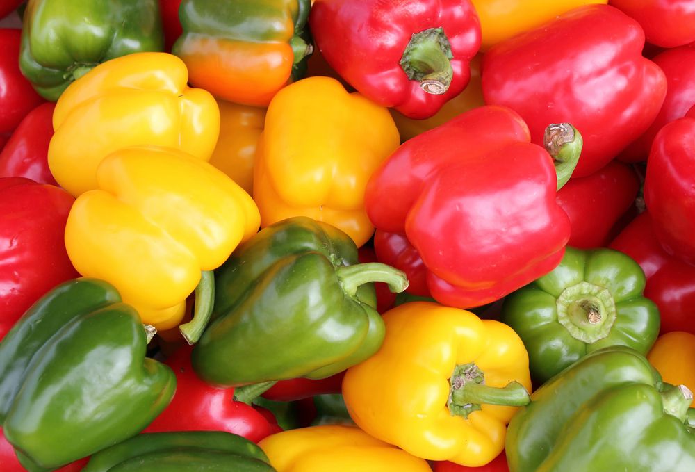 ainaaanatashaaa's tweet photo. Fun Fact: Not all Bell Peppers/capsicum are from the same plant

Although yellow, red and green can sometimes start green, BUT can also always be the final color depending on the plant 💡 #imk221

More info: https://t.co/t6Z4Z5Pb7I https://t.co/zSA7cS2e3m