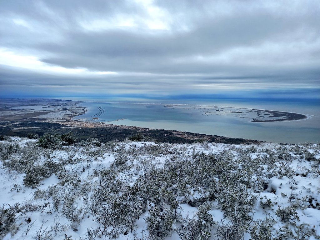 cutxamande's tweet photo. Filomena al complet. Neu al Montsià❄ i temporal de mar a la barra del Trabucador🌊 #neute2021 #NEUCAT #neutv3 #DeltaDelEbre #Filomena @aria_meteo @salvemlomontsia @CristianStudio @ajlarapita @TurismeLaRapita https://t.co/pF3yUMKahw