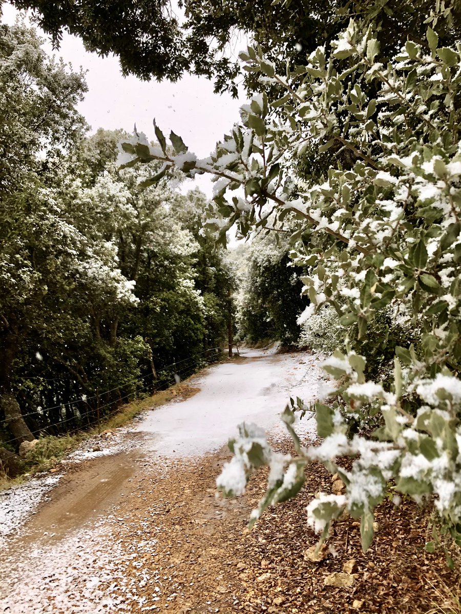 leanicoise's tweet photo. Sous la neige ⛄️ 
Quel décor incroyable à Tourrettes-sur-Loup ! Bon dimanche 😉
-
#cotedazur #alpesmaritimes #courseapied @MaRegionSud https://t.co/6r5MW1ieqQ