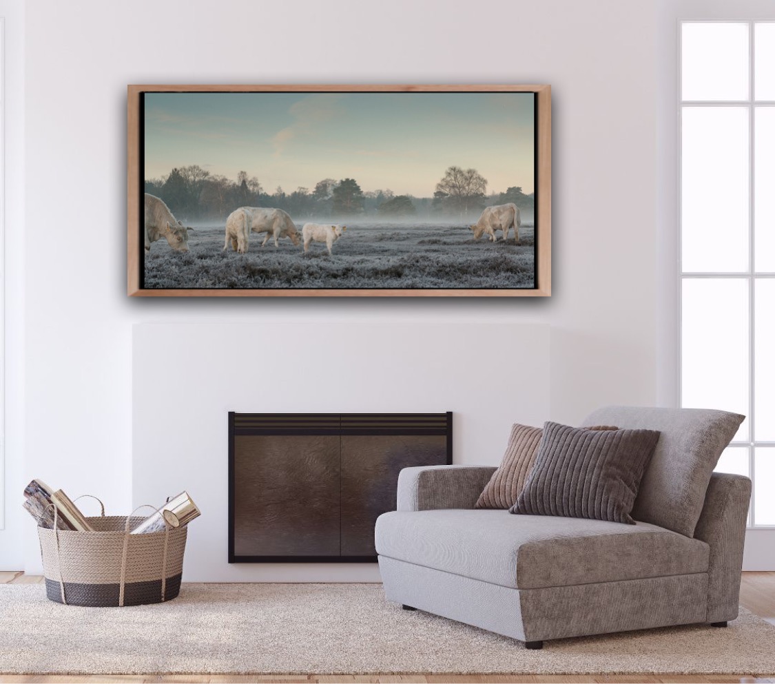ArtPictures10's tweet photo. Today we post 'Crispy cold' because it is 'Crispy cold' :)
By fine art photographer Marie-Claire Greve. Check sizes &amp; prices in our online gallery 👉 https://t.co/dn8x38SccS

#artandpictures #onlinegallery #interiorart #marieclairegreve #nature #crispycold https://t.co/XmYmuP5a54