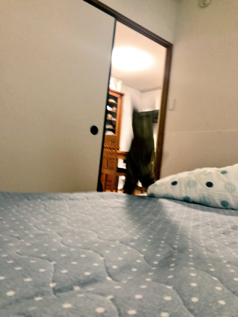 まろりん♪＠ほぼ🐱 tweet media