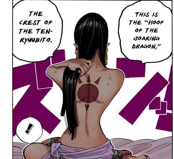 That's all! Another layer of irony is Sabo's fighting style is based on western dragons. Him having a dragon hoof brand will only make him cooler  Vivi becoming a slave also will bind her with Boa as 2 enslaved Queens. Bonney will also be involved in the upcoming war for Kuma