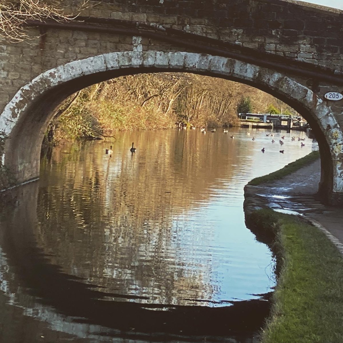 #walkshire #leedsliverpoolcanal