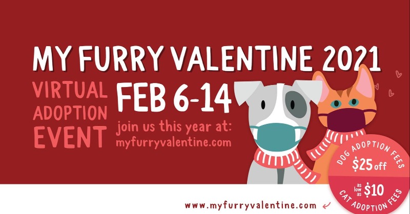 FurryValentine's tweet photo. With the 2021 event being VIRTUAL we won't be able to have the same reach as we have for the in-person event, but we still want to get as many animals as possible into their new homes. Friends of MFV - please help spread the word. 
https://t.co/1Ur1h79HDh https://t.co/BJyTFrA30R