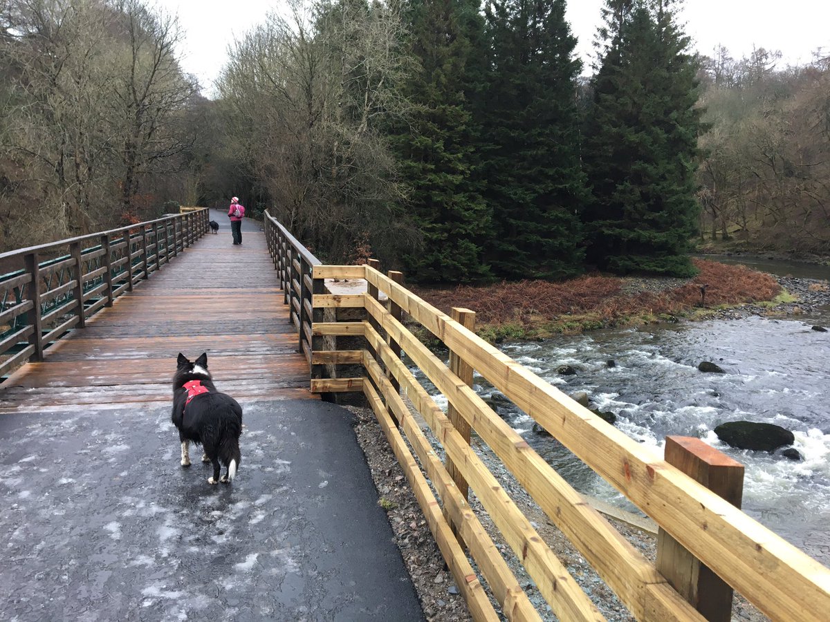 mistyneedy's tweet photo. Been out on an adventure today an old railway line great fun #Cumbria #keswick @NWDogRescue @Nightowl400 @BCTGB https://t.co/G1ifk7kazV