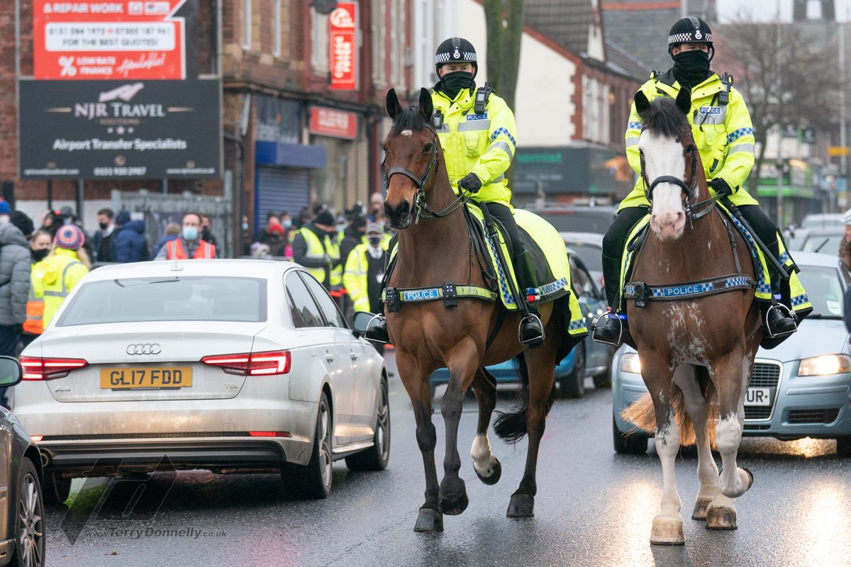 Police horses #phBeau and #phJake turned out beautifully and behaving impeccably at @MarineAFC @EmiratesFACup 3rd rnd tie against @spursofficial
 #COYM #FACup @MerseyPolice @merseymountedpc @MerPolMounted 
@SonyUK @Sony #A9 #alphapro #SonyAlpha