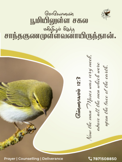 ldjmission's tweet photo. #today #bibleverses #promiseword
Apostolic Paul k.santhanaraj
Contact number : 787150885 https://t.co/iCC52K78Ih