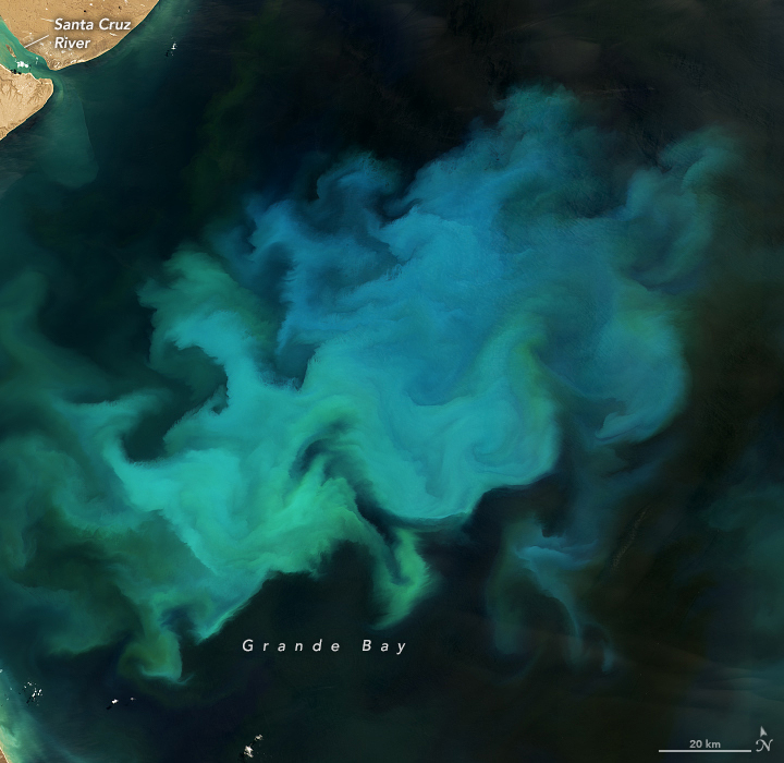 Phytoplankton Factory in the Argentine Sea
https://earthobservatory.nasa.gov/images/147753/phytoplankton-factory-in-the-argentine-sea