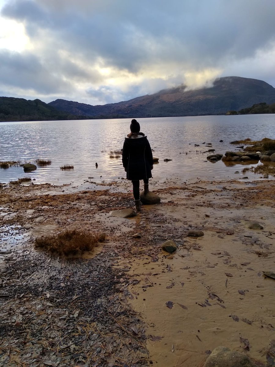 GraceFSinger's tweet photo. Happy Sunday everyone 🌹
Another day of enjoying life's lovely little things... A walk in our National Park... Nature's serenity... Time with my lovely hubby... The world's happiest doggy and friendliest robin 
How is your Sunday going so far? #sundayvibes #blessed #grateful https://t.co/w40l5FzG5u