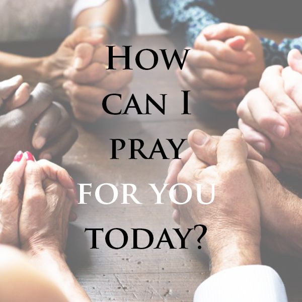 RobRaban's tweet photo. How can I pray for you today? Please share your prayer requests by commenting below 👇🏻 
. 
. 
. 
#youarenotalone #prayerworks #robraban #prayerrequest #support https://t.co/WDLUxojXXO