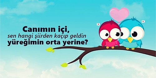 #sevdakuşu🤭🦜