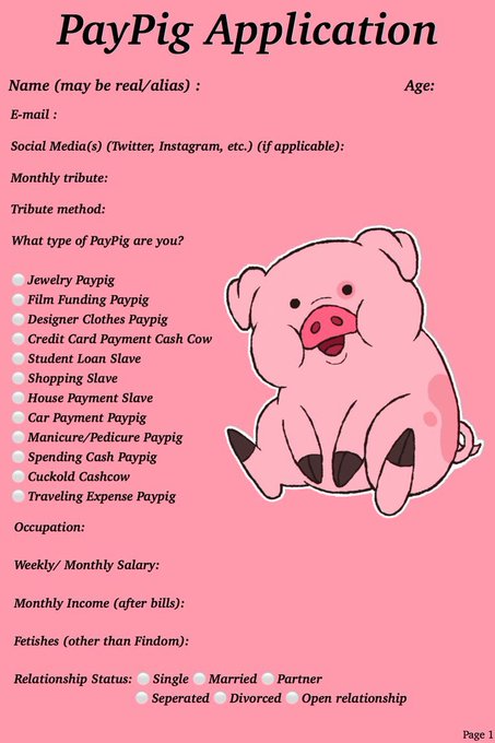 Fill it out and see if you have what it takes to be my Paypig ✨✨✨✨✨ findom cashslaves cashpig ncfindom