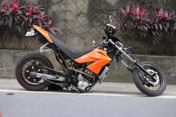 @tyomateee 台湾石虎 