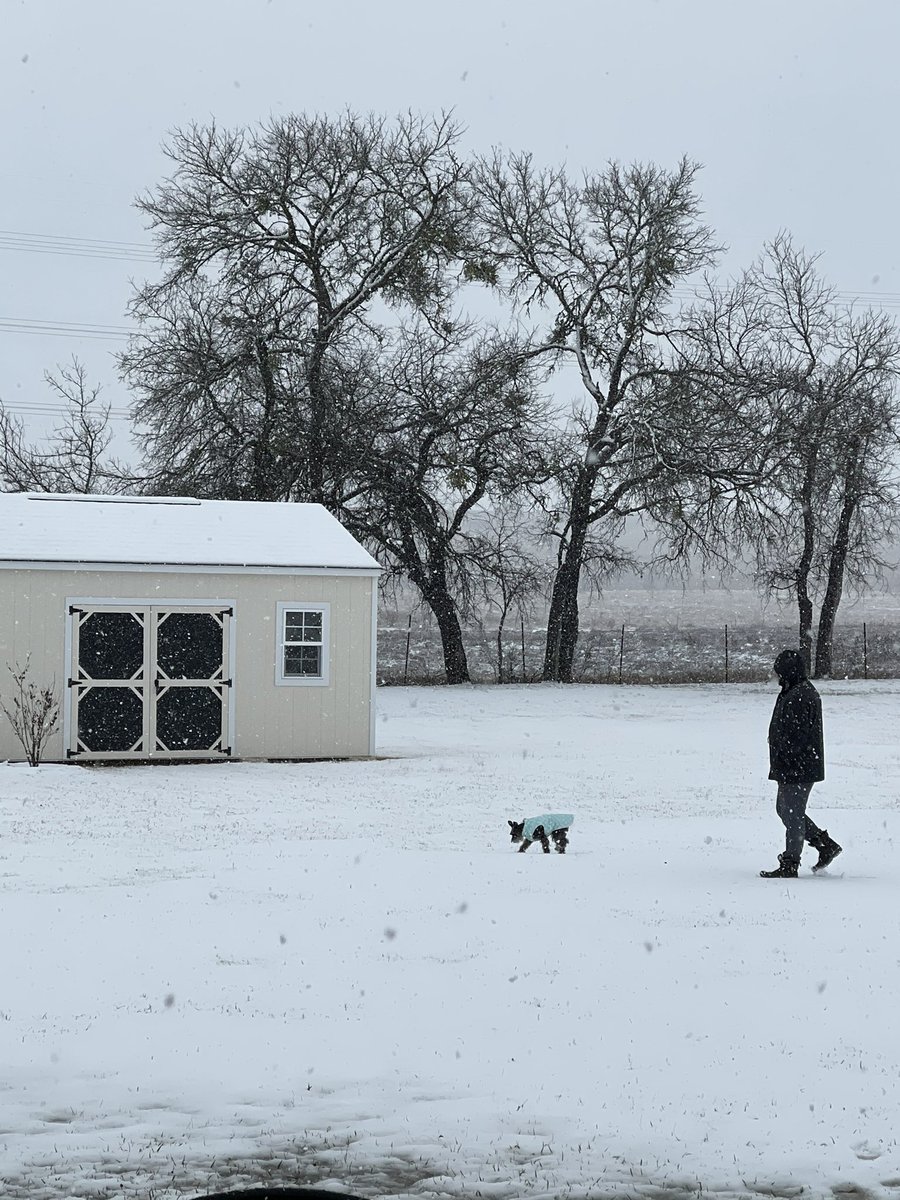 Snow day!#KVUE