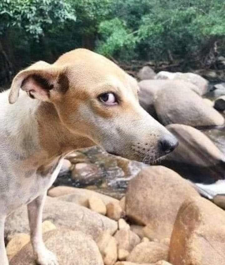 <a href="/Taltos2020/">#SheIsNotSafe 😠</a> @goairlinesindia Ok, let's finish this topic here. Plz don't say #PMisIdiot