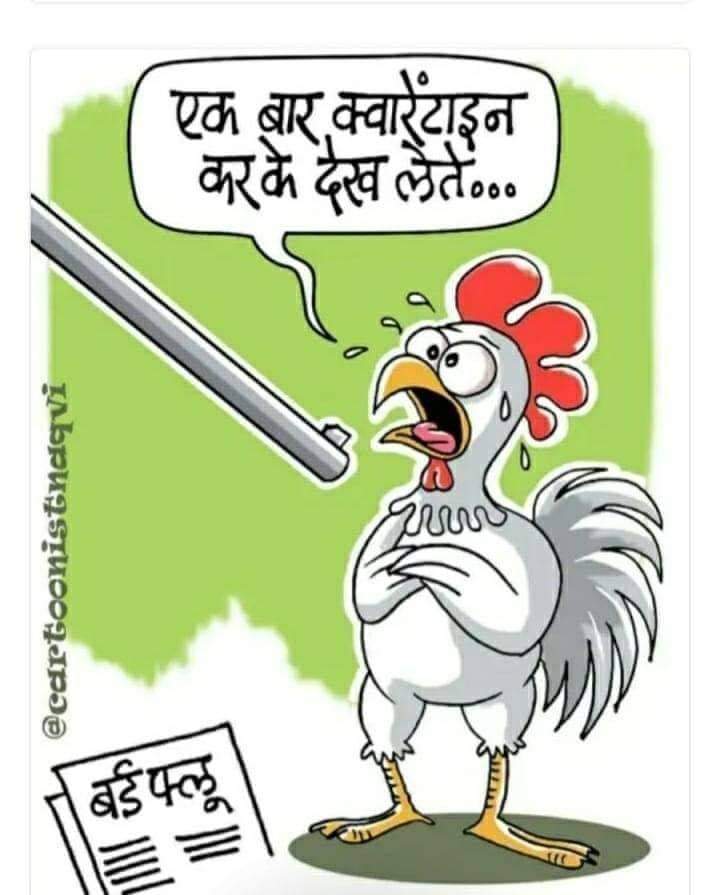 _Prateek07's tweet photo. Not just a picture .......!😔😔
#RIPbirds...🐓 https://t.co/O17venqub0