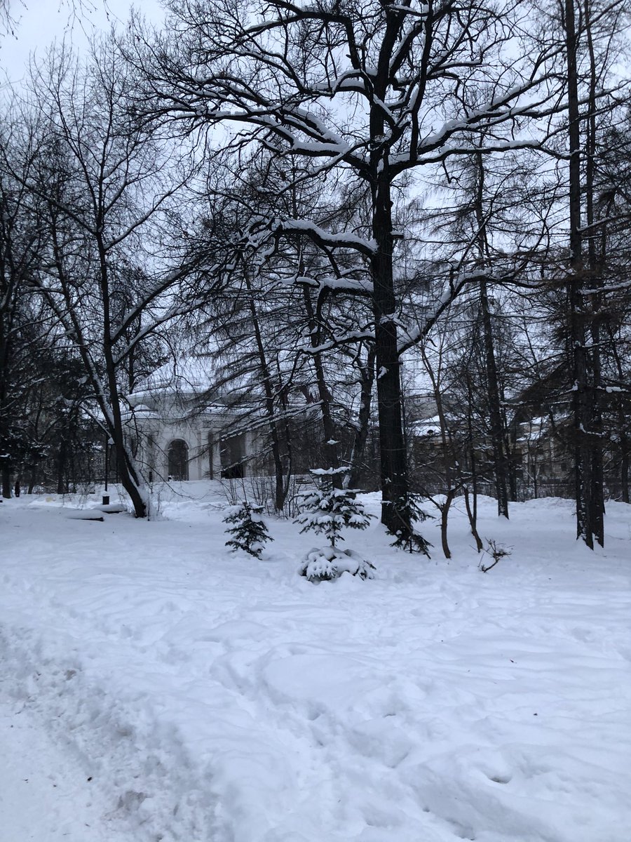 ella780782's tweet photo. По морозцу и метели смогли находить только 1,5 км., холодно... https://t.co/W2QBqraA6u