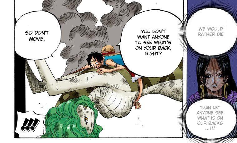 As for Sabo + Vivi the icing on the cake is Oda's statement in jump festa 2019. He teased "Sabo will...! Vivi will...! Hancock will...!" Boas recapture and facing her past is INEVITABLE. We know this. Putting Boa, Sabo, and Vivi together ONLY confirms to me that they're enslaved