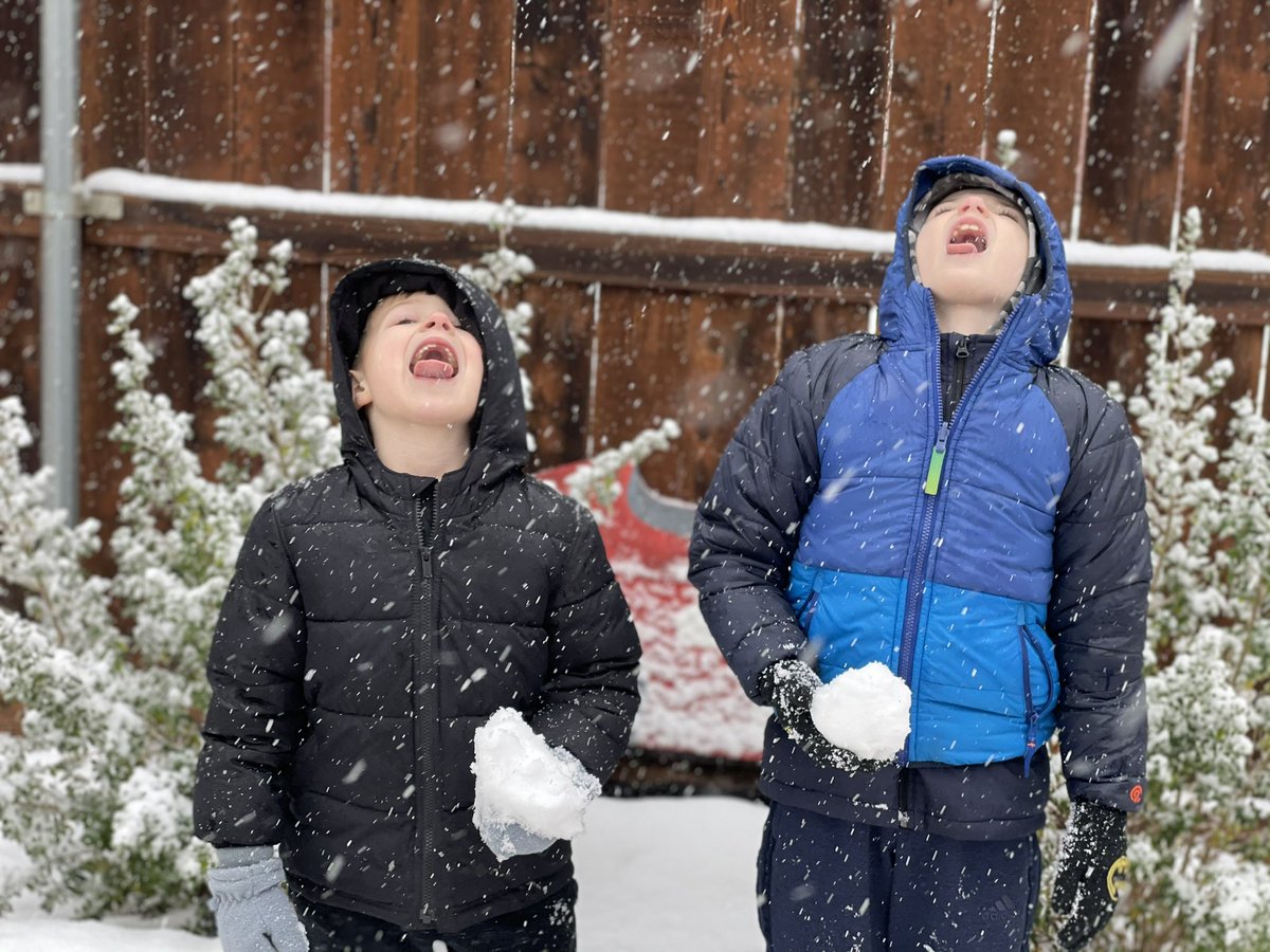 Caeli's tweet photo. It’s snowing in Texas! https://t.co/lJGhGpQm7S