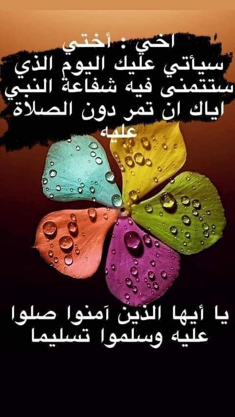 SalahaAli6's tweet photo. https://t.co/YXN01MSXRc