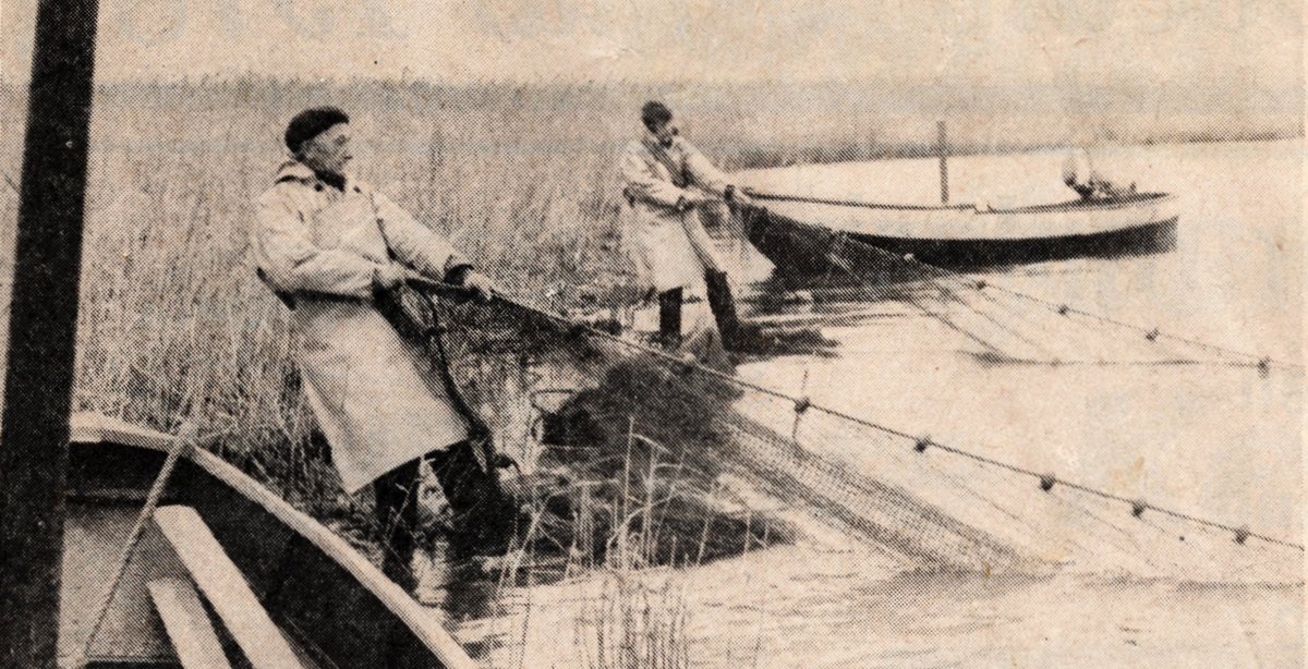 Deze week maken we een begin met artikelen uit Regionale kranten. Dit artikel "de stille vissers van Woudrichem" komt uit Nieuwsblad van december 1977.
bit.ly/39mzvhQ