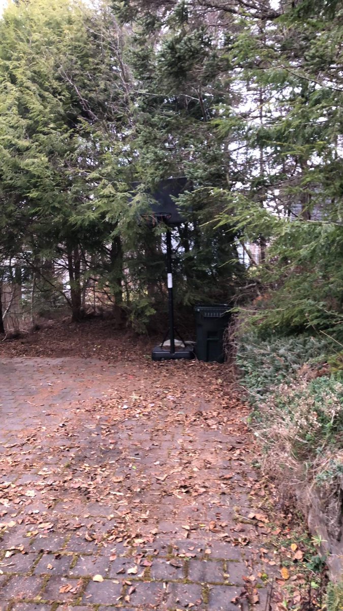 HalifaxJunk's tweet photo. Old deck needs to go ?
We will give it the heave ho !! ✅💨
Yes, we'll dismantle it & whisk it away !
DONE !
#deckremoval #Halifax #junkhaulers #deck https://t.co/UMU2qSCXGR