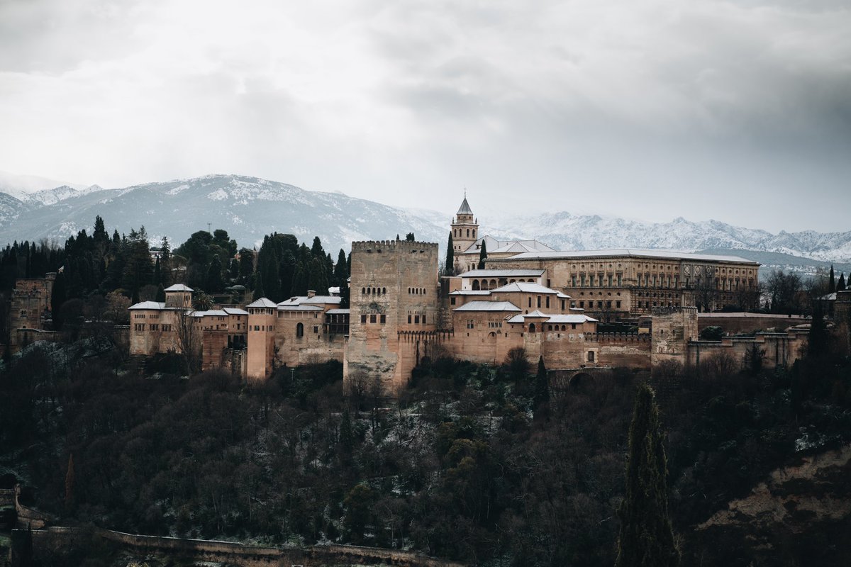 Jesús Torrente Chamo tweet media