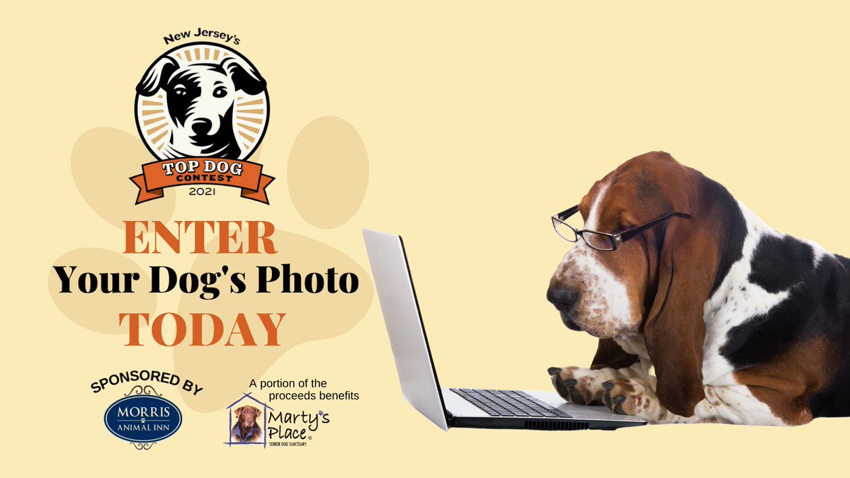 NJMonthly's tweet photo. Have you entered your dog's best pose in our Top Dog Photo Contest yet? Check out the grand prize (and what you get just for entering)! Contest is sponsored by Morris Animal Inn: https://t.co/ErEpKlnD1m

#NJTopDog #njdogs #dogsofnj  #doglovers #dogcontest #njdogcontest https://t.co/ody6thCTgN