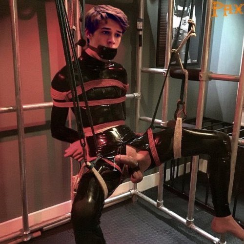 gayballbuster's tweet photo. This is one off the most amazing pictures on the internet 😈😏 Horny Sunday all! #male #ballbusting #ballpain #porn #gayporn #domination #cbt #cbtfantasy #poppers https://t.co/PPvVPY8Mzi